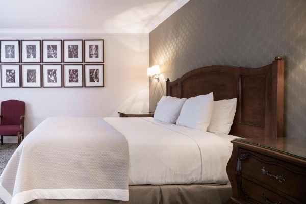 Woodcrest Hotel Cupertino image 11